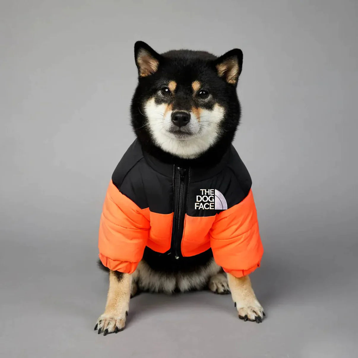 Dog Puffer Jacket