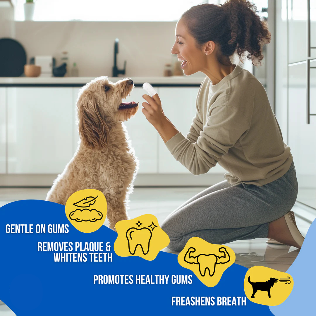 Pet Dental Wipes