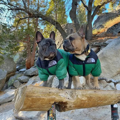 Dog Puffer Jacket